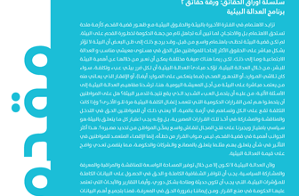 غلاف ورقة حقائق البيئة